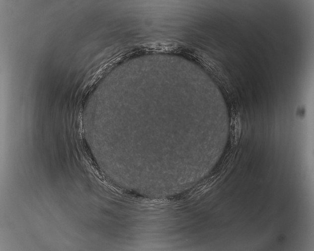 X0000116121058200912141040