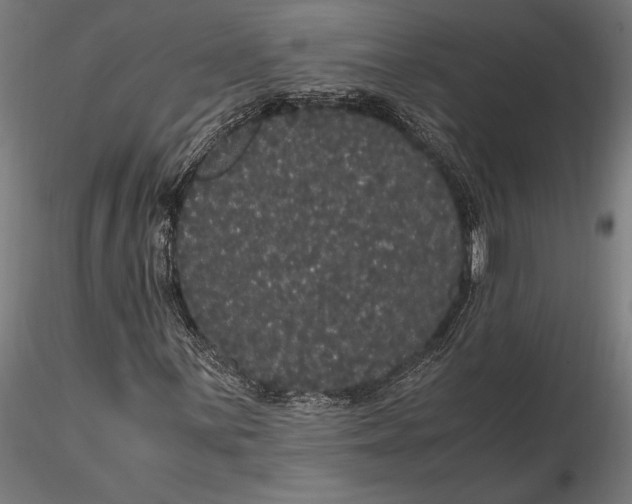 X0000116121059200912141040