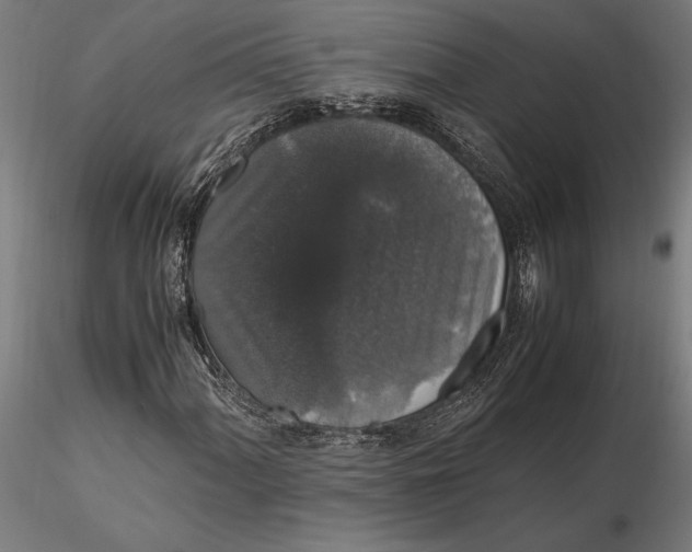 X0000116121060200912141040