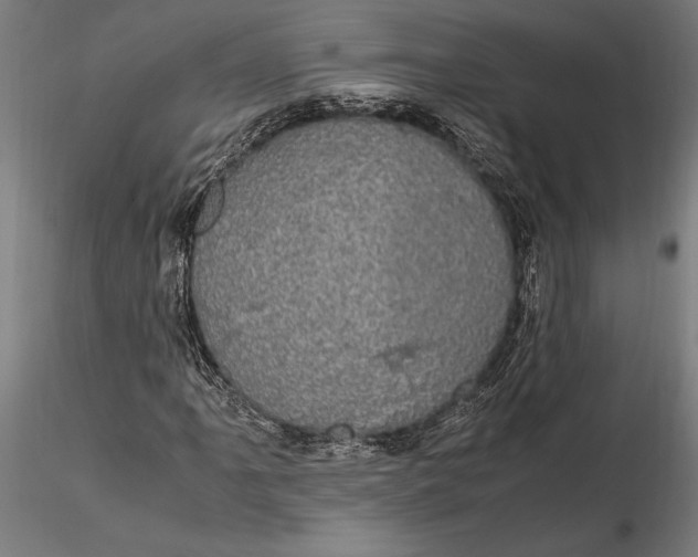 X0000116121061200912141040