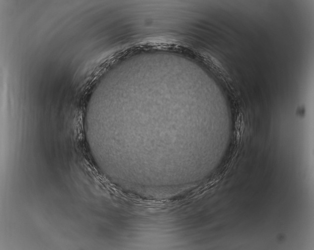 X0000116121062200912141040