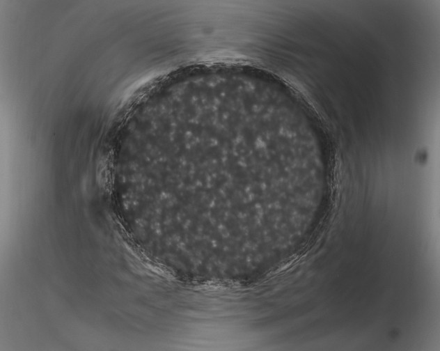 X0000116121063200912141040