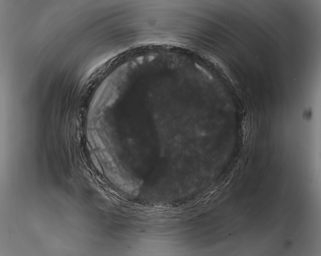 X0000116121064200912141040