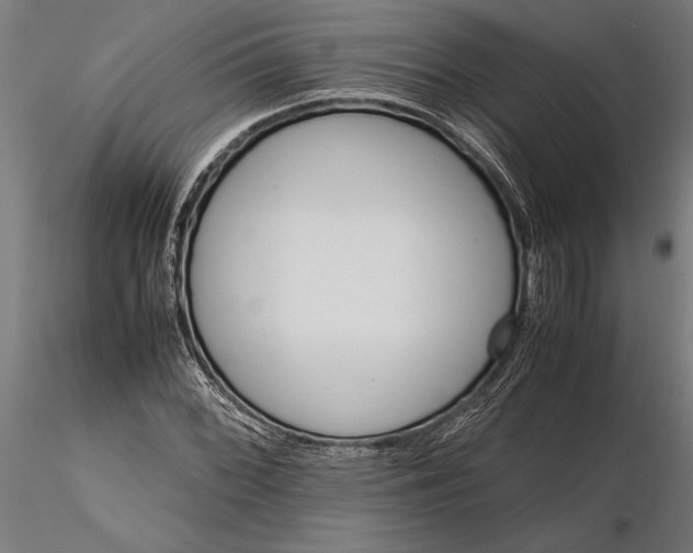 X0000116121068200912141040