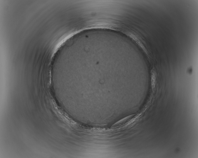 X0000116121069200912141040