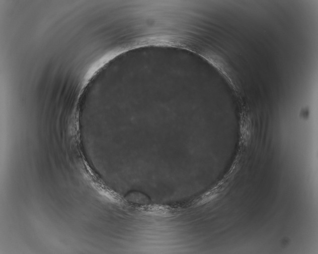 X0000116121070200912141040