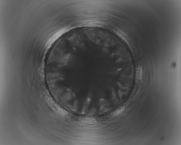 X0000116121071200912141040