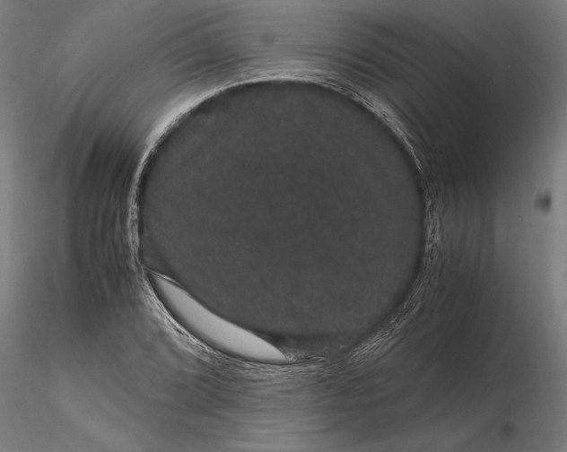 X0000116121072200912141040