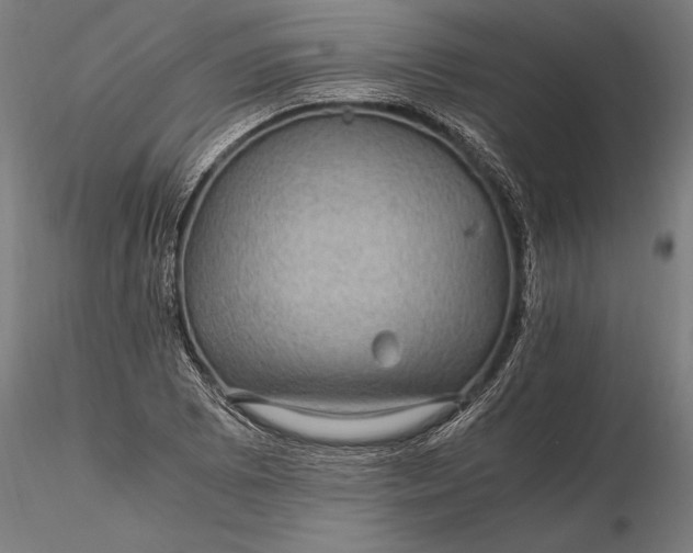 X0000116121073200912141040