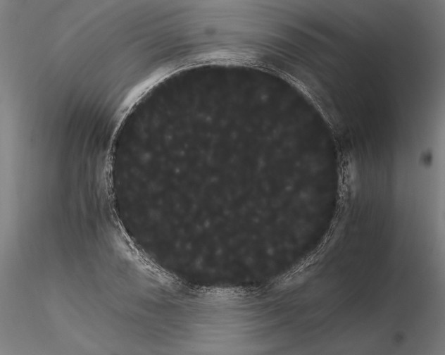 X0000116121074200912141040