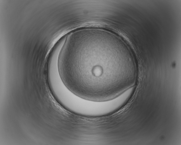 X0000116121075200912141040