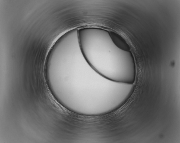 X0000116121076200912141040