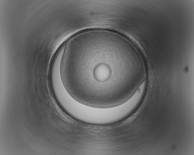 X0000116121077200912141040