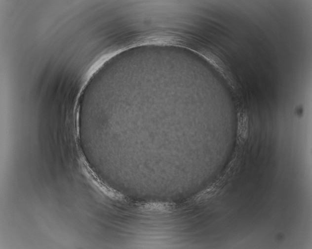 X0000116121078200912141040