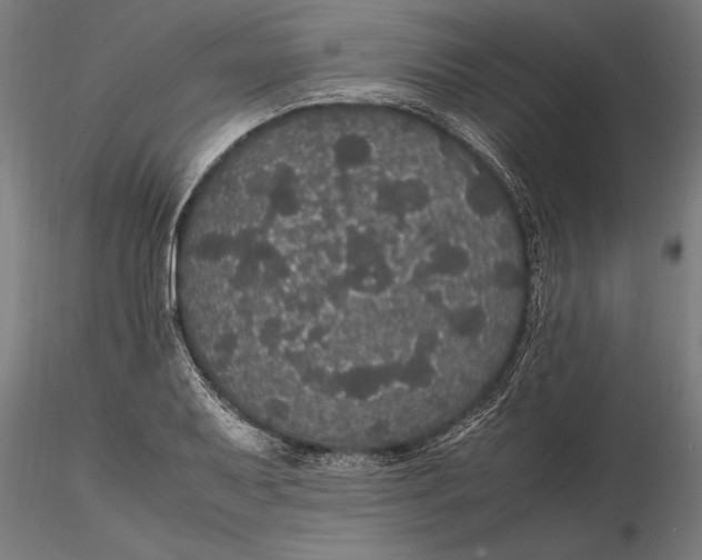 X0000116121079200912141040