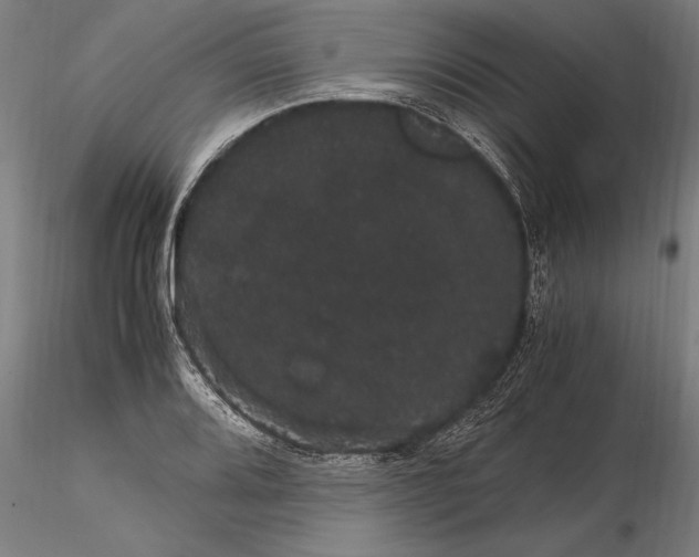 X0000116121080200912141040