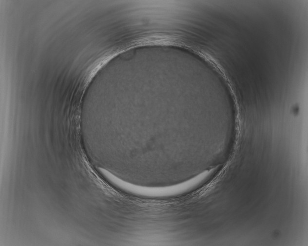 X0000116121081200912141039