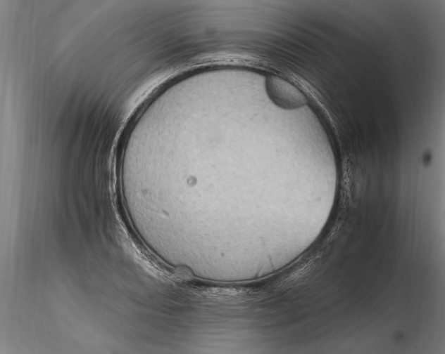 X0000116121082200912141039