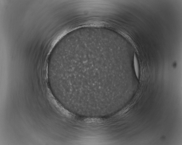 X0000116121083200912141039