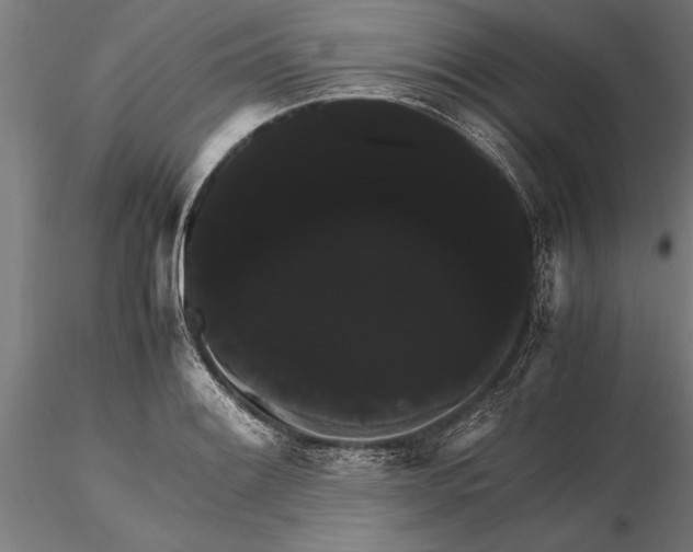 X0000116121084200912141039