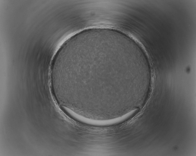 X0000116121085200912141039