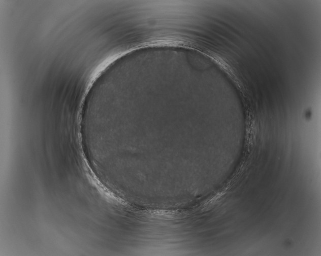 X0000116121086200912141039