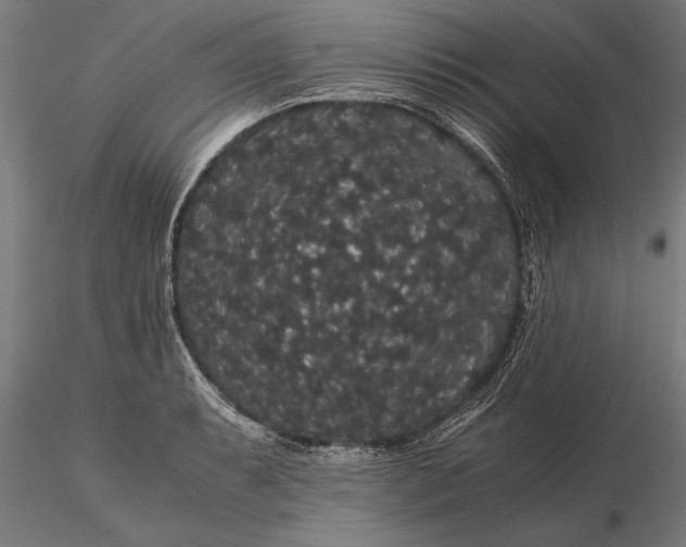 X0000116121087200912141039