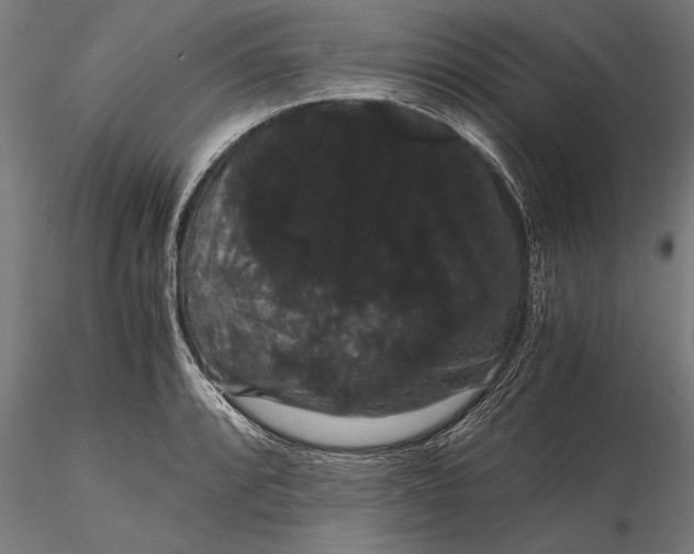 X0000116121088200912141039