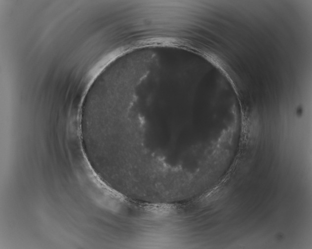 X0000116121090200912141039