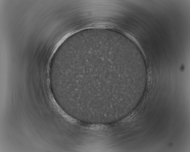 X0000116121091200912141039