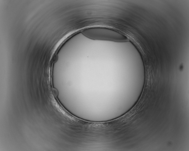 X0000116121092200912141039