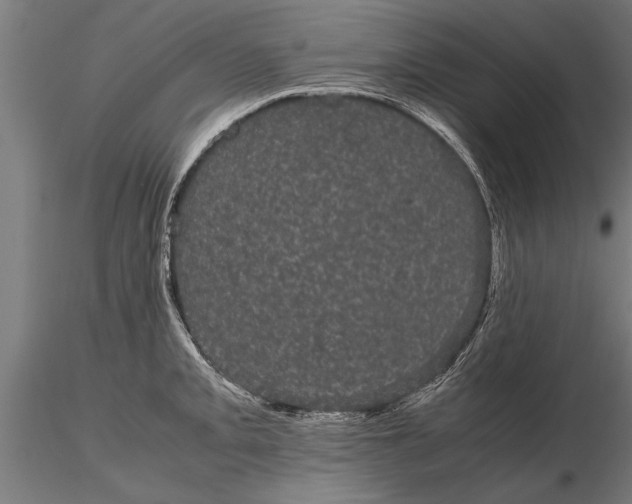 X0000116121093200912141039