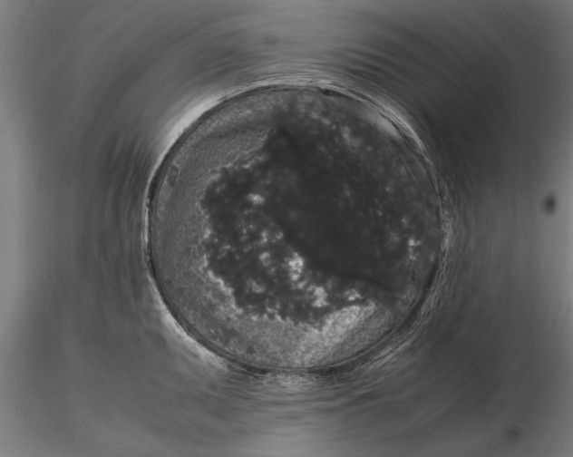 X0000116121095200912141039