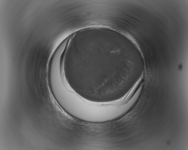 X0000116121096200912141039