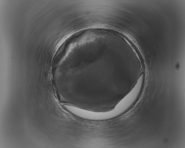 X0000116121097200912141039