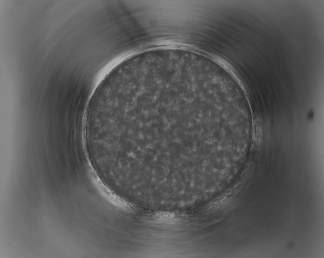 X0000116121098200912141039