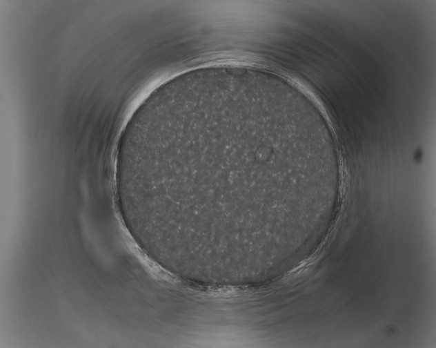 X0000116121099200912141039