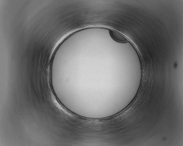 X0000116121100200912141039