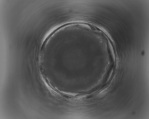 X0000116121101200912141039