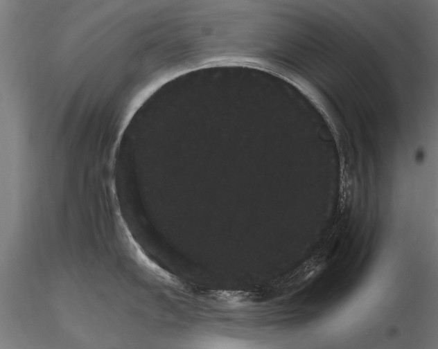 X0000116121102200912141039