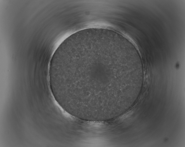 X0000116121103200912141039