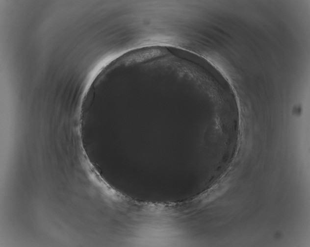 X0000116121104200912141039