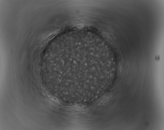 X0000116121105200912141039