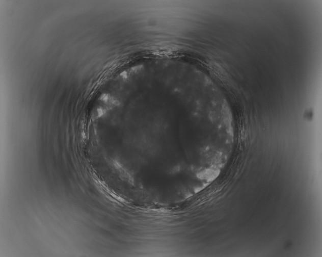 X0000116121106200912141039