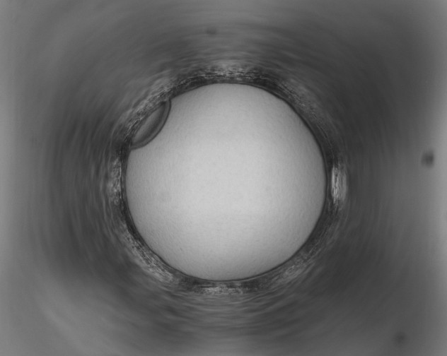 X0000116121107200912141039