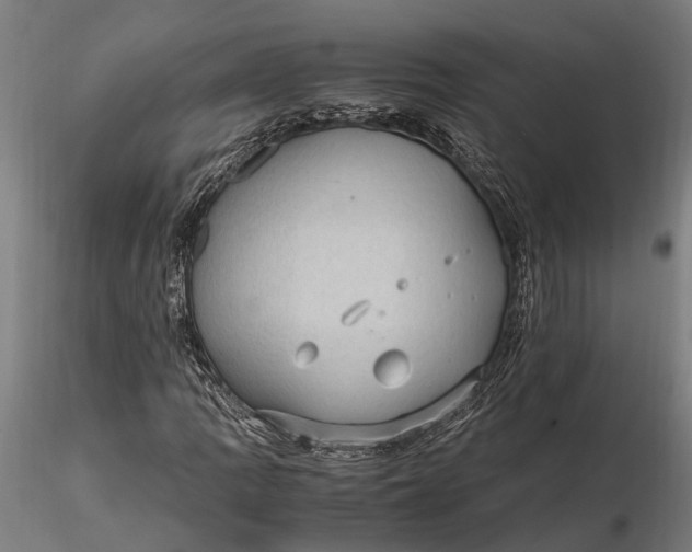 X0000116121109200912141039