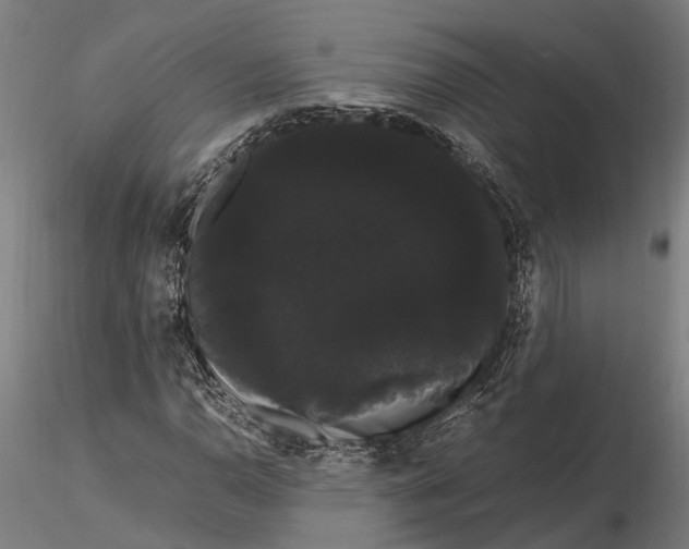 X0000116121110200912141039