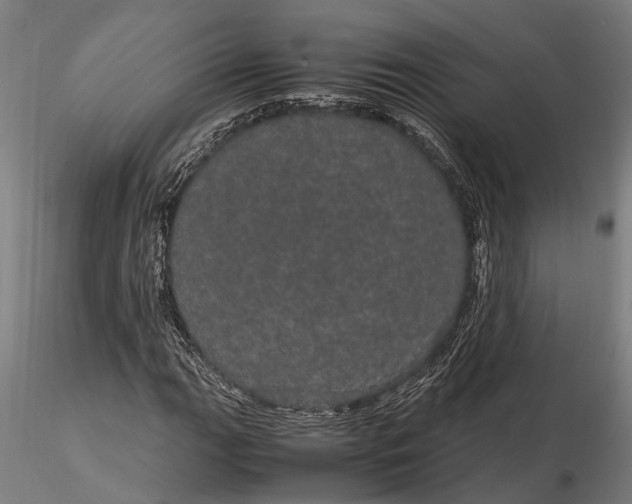 X0000116121111200912141039