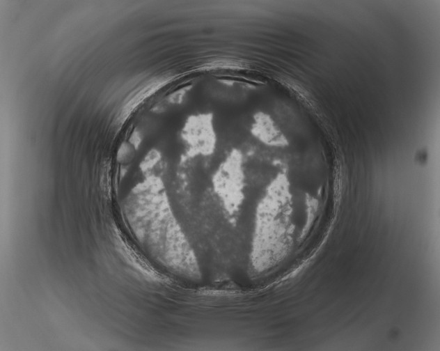 X0000116121113200912141039