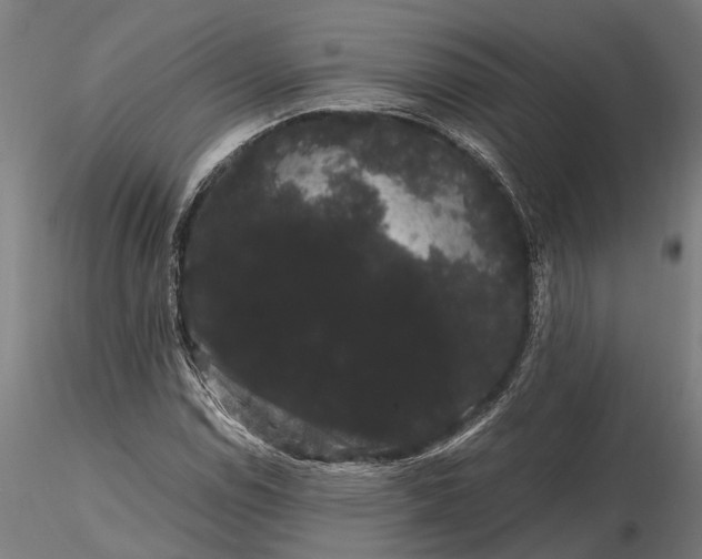 X0000116121114200912141039